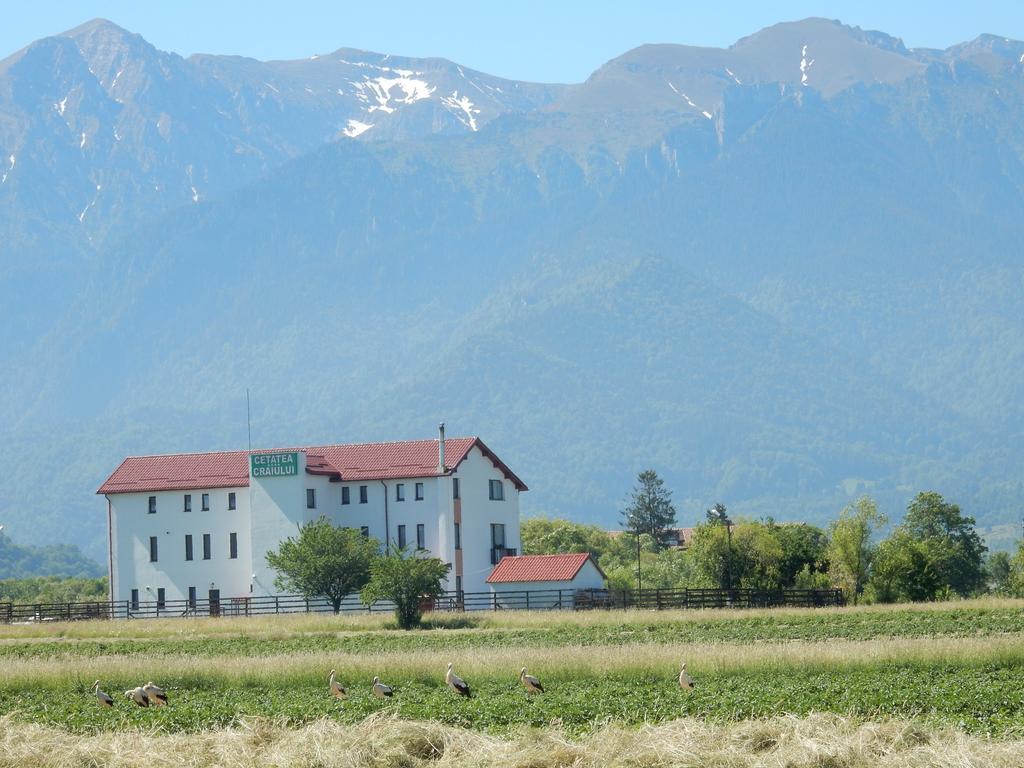 Pensiunea Cetatea Craiului Рышнов Экстерьер фото