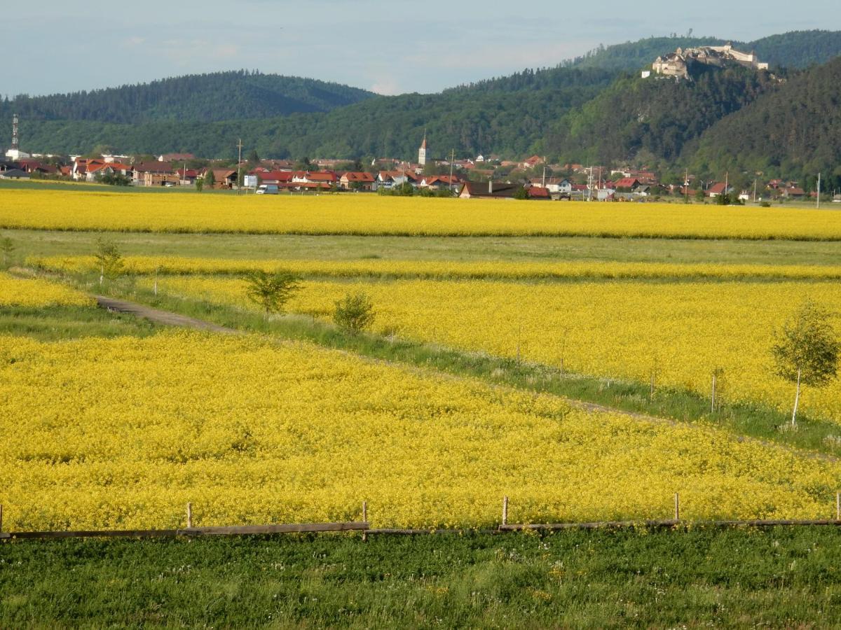 Pensiunea Cetatea Craiului Рышнов Экстерьер фото